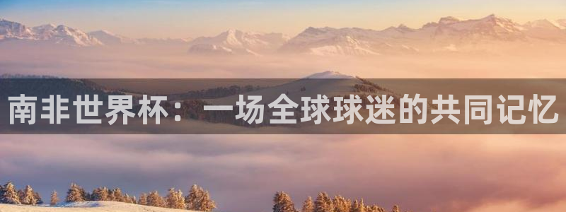 世界杯足球比赛:南非世界杯:一场全球球迷的共同记忆