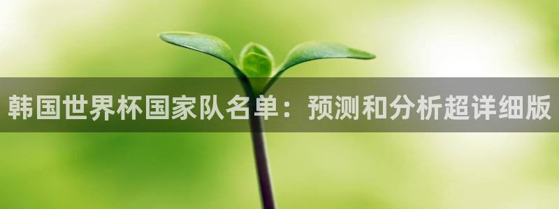 世界杯欧洲区赛程:韩国世界杯国家队名单:预测和分析超详细版