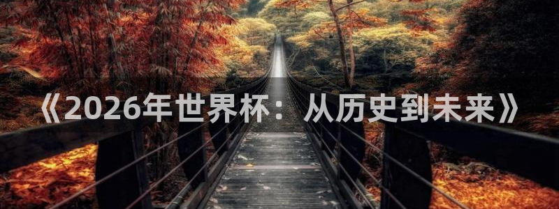 世界杯2026比赛时间表:《2026年世界杯:从历史到未来》