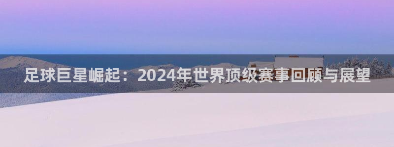 英足总杯直播:足球巨星崛起:2024年世界顶级赛事回顾与展望