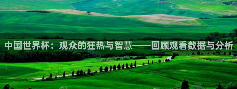 世界杯赛程时间表:中国世界杯:观众的狂热与智慧——回顾观看数据与分析