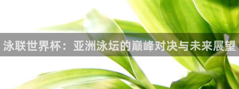 足球世界杯:泳联世界杯:亚洲泳坛的巅峰对决与未来展望