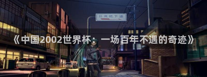 2026世界杯赛:《中国2002世界杯:一场百年不遇的奇迹》